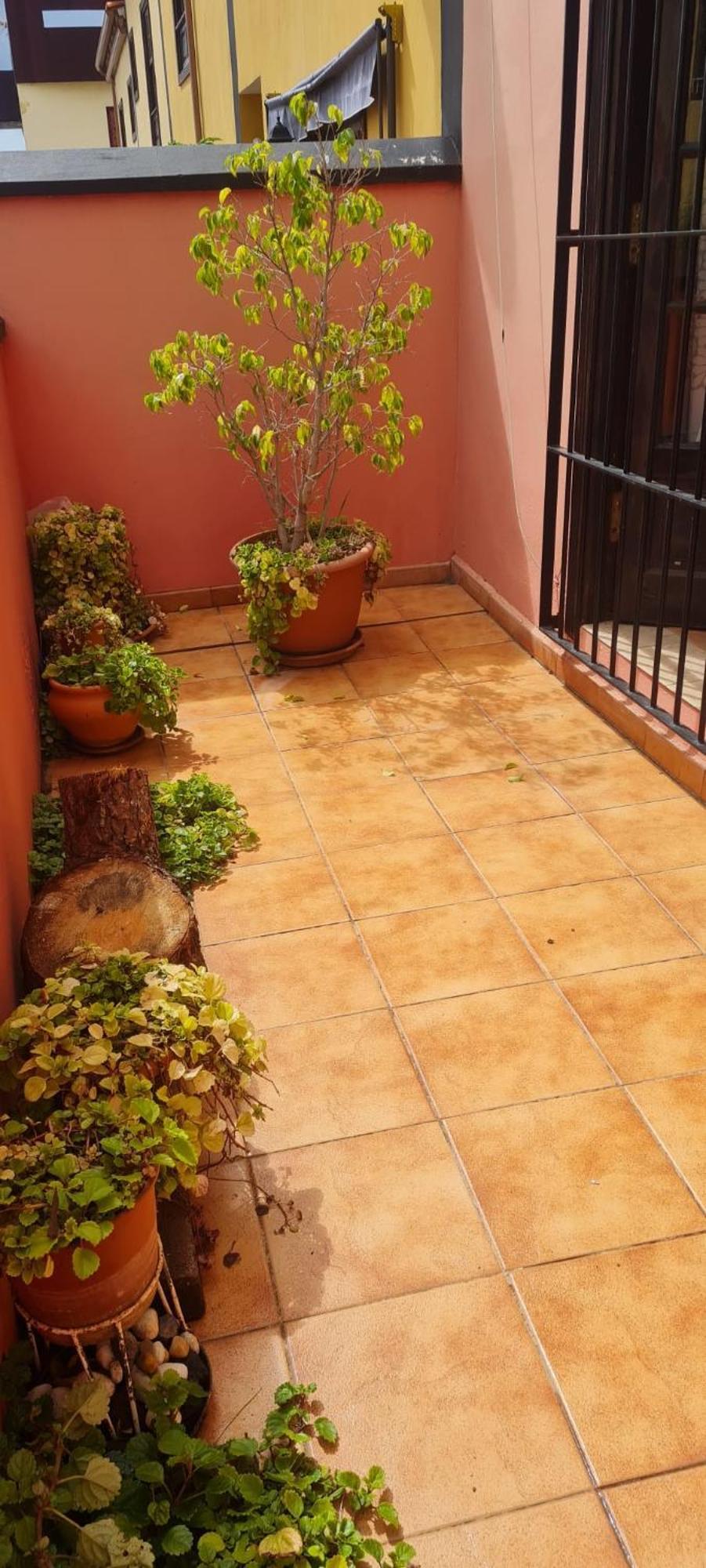Vakantiehuis Mgrahamhouse Tacoronte